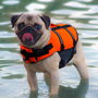 Croci Chaleco salvavidas para perros 40 cm