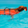 Croci Chaleco salvavidas para perros 40 cm
