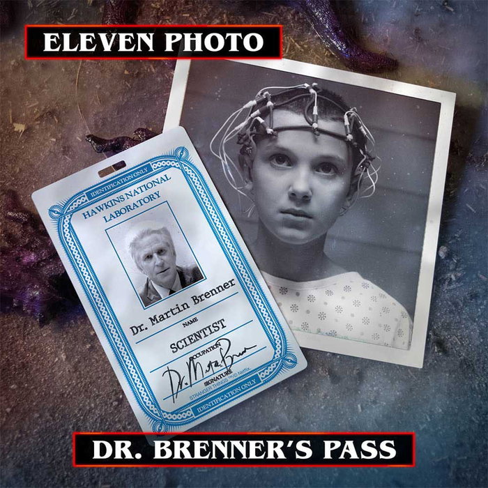 Doctor Collector Hawkins Memories Vecna's Curse Limited Edition Collector's Box Stranger Things