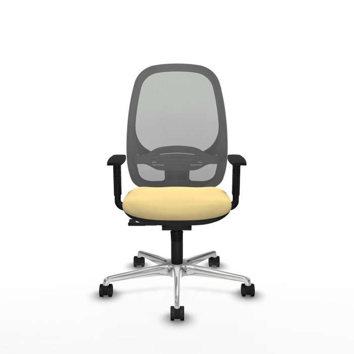 PIQUERAS Y CRESPO Silla de oficina Cilanco con mecanismo Sincro Crema y Gris PIQUERAS Y CRESPO Silla de oficina Cilanco con mecanismo Sincro Crema y Gris