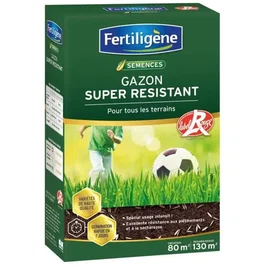 Fertiligene Super Resistente Grass All Terrain 2 kg - Semillas para césped Label Rouge, resistente al pisoteo y sequía, cubre 80m²