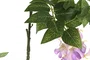 DKD Home Decor Flor Rosa Blanco 20 x 150 x 20 cm (12 Unidades)