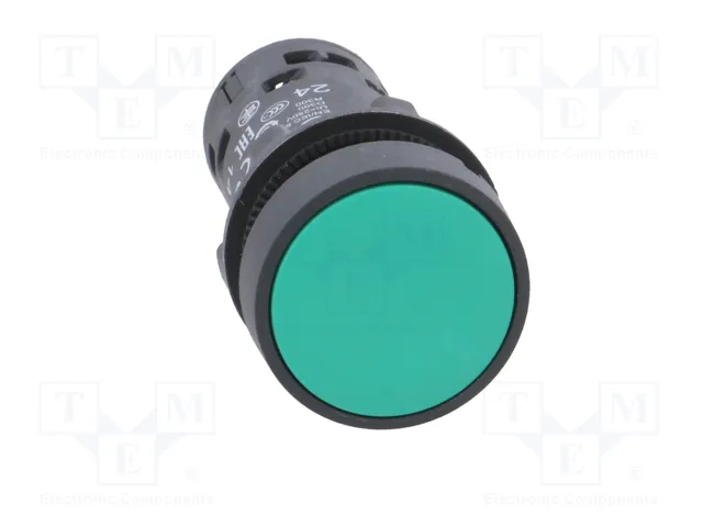 SCHNEIDER ELECTRIC Interruptor de presión Harmony XB7 verde NA x2 22mm