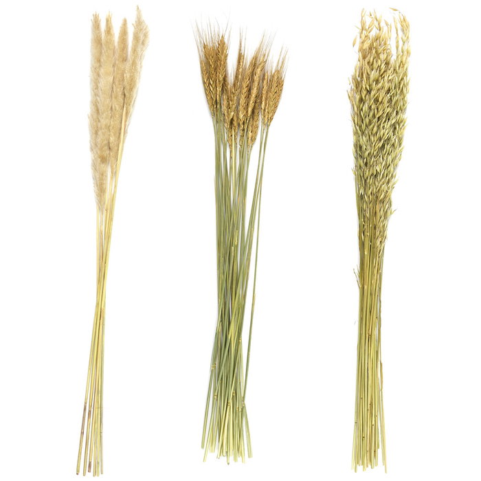 Home Deco Factory Ramo Flor Seca Natural altura 75 cm Decoración Hogar Home Deco Factory Ramo Flor Seca Natural altura 75 cm Decoración Hogar