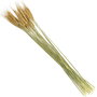 Home Deco Factory Ramo Flor Seca Natural altura 75 cm Decoración Hogar