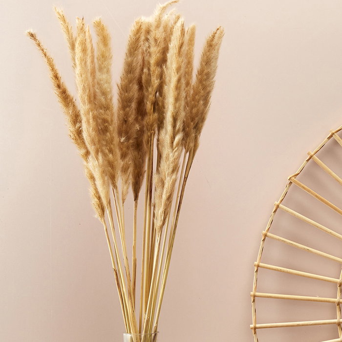 Home Deco Factory Ramo Flor Seca Natural altura 75 cm Decoración Hogar Home Deco Factory Ramo Flor Seca Natural altura 75 cm Decoración Hogar