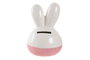 DKD Home Decor Hucha de Dolomita Conejo Surtida 10x9x15 cm