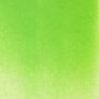 Panpastel 690.5 Verde amarillento