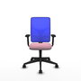 PIQUERAS Y CRESPO Silla de oficina Motilla con mecanismo Sincro, Rosa y Azul