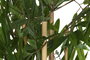 DKD Home Decor Árbol PVC Bambú Verde 40x40x150 cm