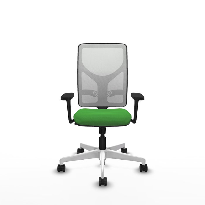 PIQUERAS Y CRESPO Silla de oficina Motilla con mecanismo Sincro, Verde y Blanco PIQUERAS Y CRESPO Silla de oficina Motilla con mecanismo Sincro, Verde y Blanco
