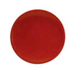 Plato Barro Refractario Churrasco 28 cm (Set de 9)