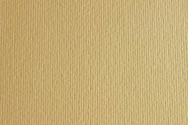 Sadipal Lr 220 Cartulina Texturizada 50x70 cm Panna (Set de 20) (Set de 20)