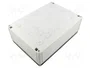SPELSBERG TK PC 2518-9-TO Carcasa Universal de Policarbonato Gris