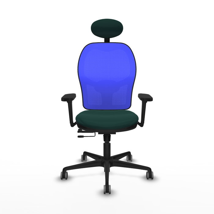 PIQUERAS Y CRESPO Silla de oficina Jorquera Verde botella y Azul