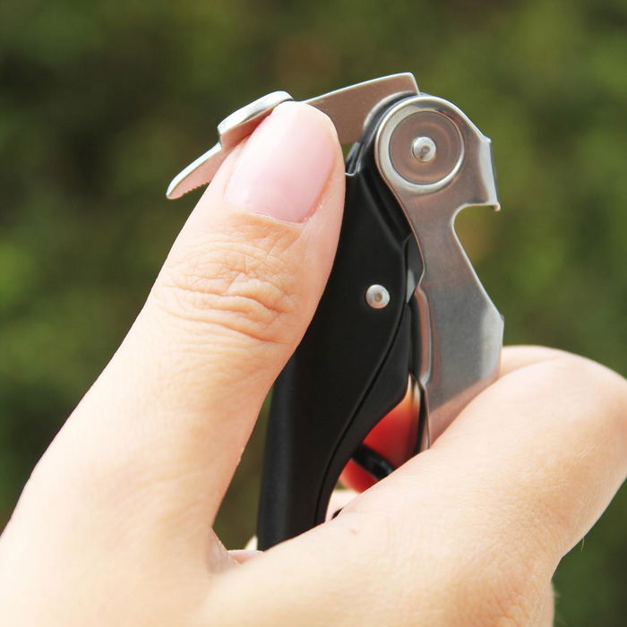 Sacacorchos Acero Hightech Deluxe Koala 15x9x2,3 cm Sacacorchos Acero Hightech Deluxe Koala 15x9x2,3 cm