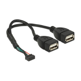 DeLOCK Cable USB 2.0 con 2 x USB Tipo-A Hembra y 10 Pin, 20 cm