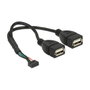 DeLOCK 84933 Cable USB 2.0 con 2 x USB Tipo-A hembra, 0,2 m