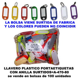 Llavero Plástico Portaetiquetas 20x55mm + Anilla, 100 Unidades Surtidas