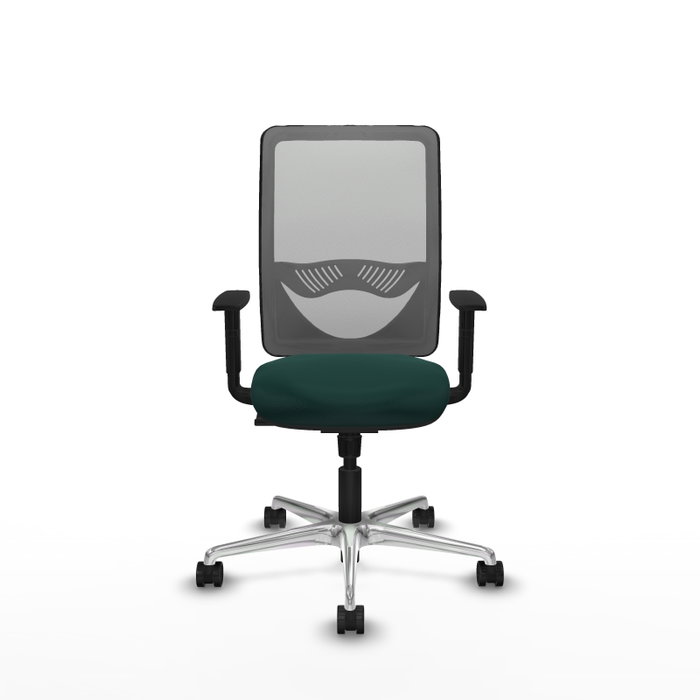 PIQUERAS Y CRESPO Silla de oficina Zulema con mecanismo Sincro, Verde botella y Gris PIQUERAS Y CRESPO Silla de oficina Zulema con mecanismo Sincro, Verde botella y Gris
