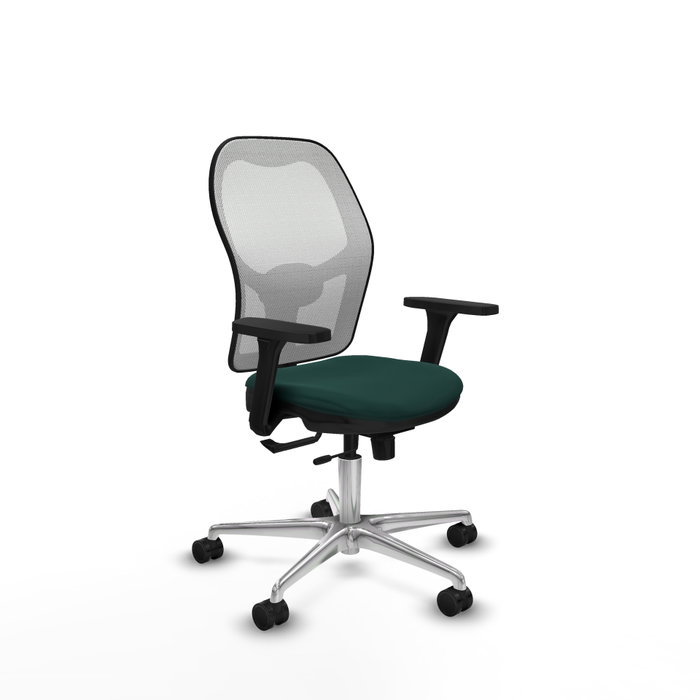 PIQUERAS Y CRESPO Silla de oficina Jorquera Verde botella y Blanco PIQUERAS Y CRESPO Silla de oficina Jorquera Verde botella y Blanco