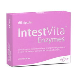 Vitae Intestvita Enzymes 60 Cápsulas - Kyo Dophilus Digestivo