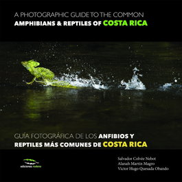 RODENO, GUIA FOTOGRAFICA ANFIBIOS Y RESPITELES COSTA RICA.(ESP/ING)
