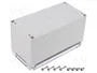 FIBOX EURONORD Carcasa Universal Gris
