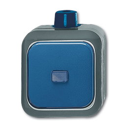 BUSCH-JAEGER 2601/6 WDI Wippschalter Wechsel- Schalter Busch-Duro