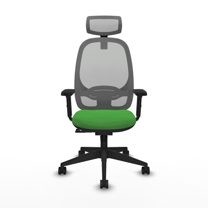PIQUERAS Y CRESPO Silla de oficina Cilanco con mecanismo Sincro, Tela Verde y Malla Gris PIQUERAS Y CRESPO Silla de oficina Cilanco con mecanismo Sincro, Tela Verde y Malla Gris