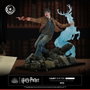 Tsume Harry Potter Figura Ikigai 1/6