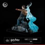 Tsume Harry Potter Figura Ikigai 1/6