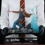 Tsume Harry Potter Figura Ikigai 1/6