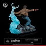 Tsume Harry Potter Figura Ikigai 1/6