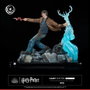 Tsume Harry Potter Figura Ikigai 1/6