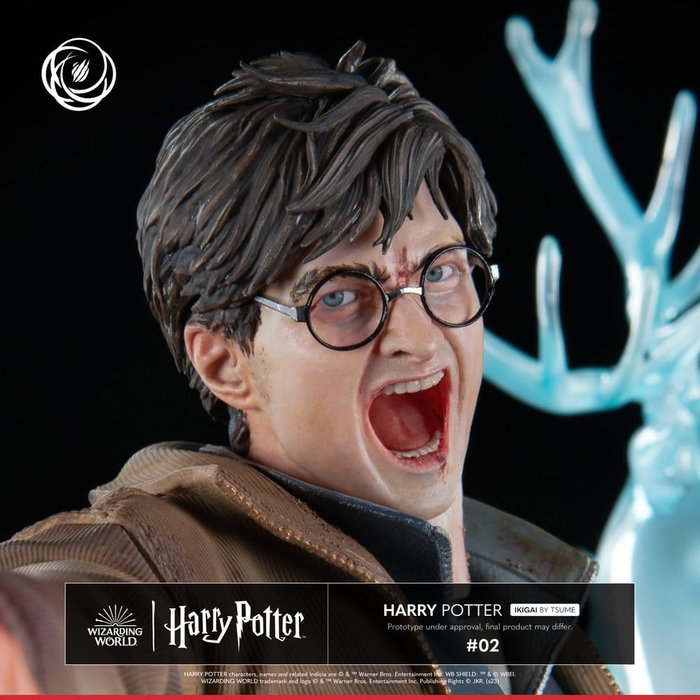 Tsume Harry Potter Figura Ikigai 1/6