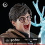 Tsume Harry Potter Figura Ikigai 1/6