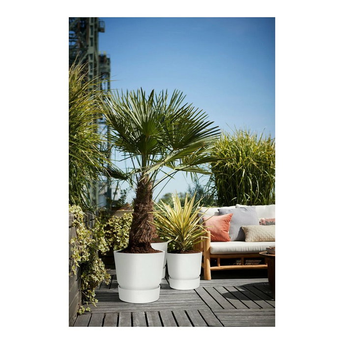 Elho Maceta Greenville Rond 47 Exterior Blanco