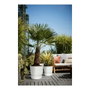 Elho Maceta Greenville Rond 47 Exterior Blanco