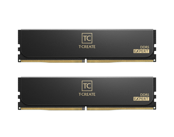 Team Group T-CREATE EXPERT CTCED532G6400HC32ADC01 32 GB (2 x 16 GB) DDR5 6400 MHz Black