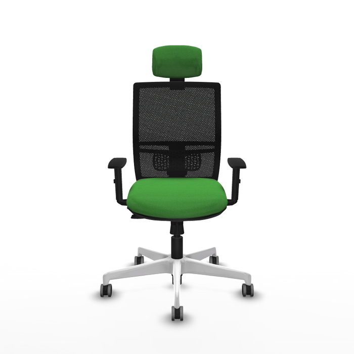 PIQUERAS Y CRESPO Silla de oficina Yunquera con mecanismo Sincro/Traslack, Verde y Negro PIQUERAS Y CRESPO Silla de oficina Yunquera con mecanismo Sincro/Traslack, Verde y Negro