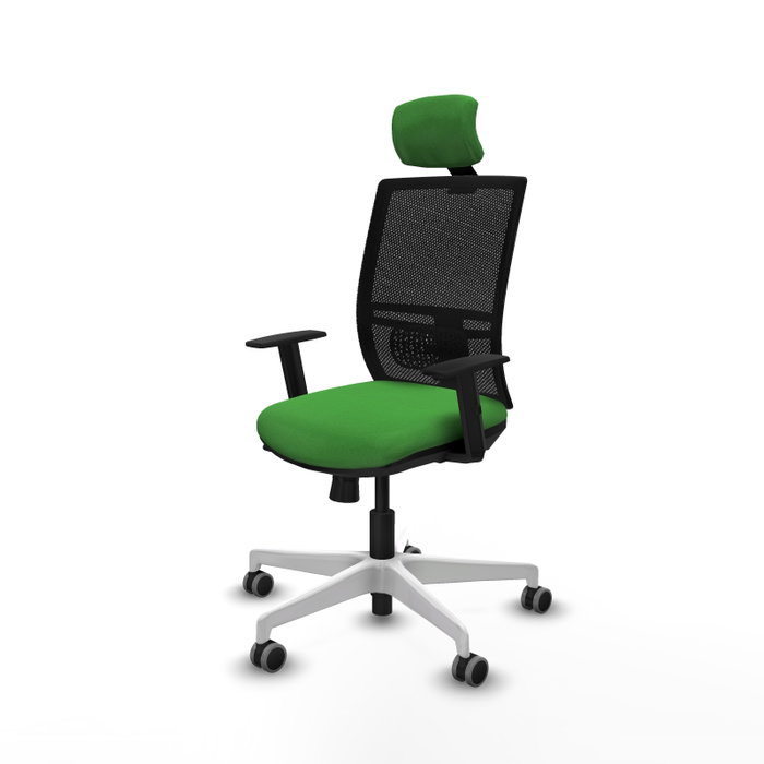 PIQUERAS Y CRESPO Silla de oficina Yunquera con mecanismo Sincro/Traslack, Verde y Negro PIQUERAS Y CRESPO Silla de oficina Yunquera con mecanismo Sincro/Traslack, Verde y Negro
