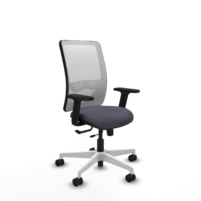 PIQUERAS Y CRESPO Silla de oficina Zulema con mecanismo Sincro/Traslack, Gris oscuro y Blanco PIQUERAS Y CRESPO Silla de oficina Zulema con mecanismo Sincro/Traslack, Gris oscuro y Blanco