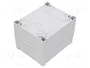 FIBOX TEMPO Carcasa Universal Gris ABS