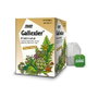 SALUS Gallexier Infusión herbal con alcachofa, 15 bolsitas