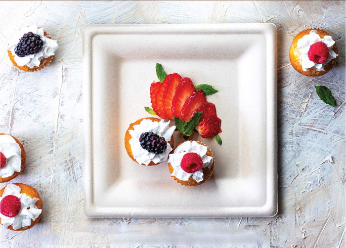 Algon Set-6 Plato Cuadrado Caña 16 cm (24 Unidades)