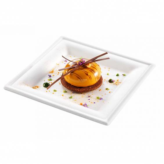 Algon Set-6 Plato Cuadrado Caña 16 cm (24 Unidades)