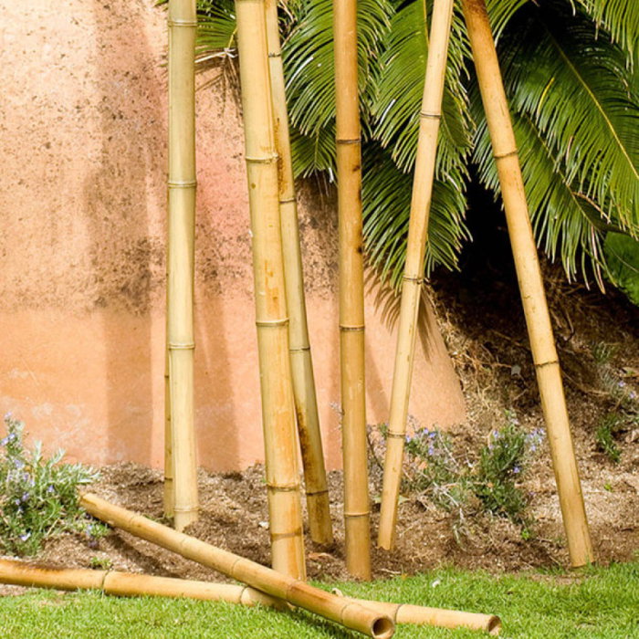Nortene Tutor de Bambú Decorativo Color Natural Ø5-6,5cm x 1,8m