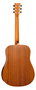Guitarra Acústica Tanglewood Serie Roadster X Dreadnought Electrificada