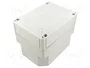 SPELSBERG TK PC Carcasa Universal Gris IP66